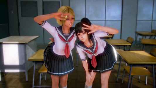 Reversible Reversible