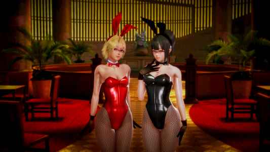 Reversible2 Reversible2